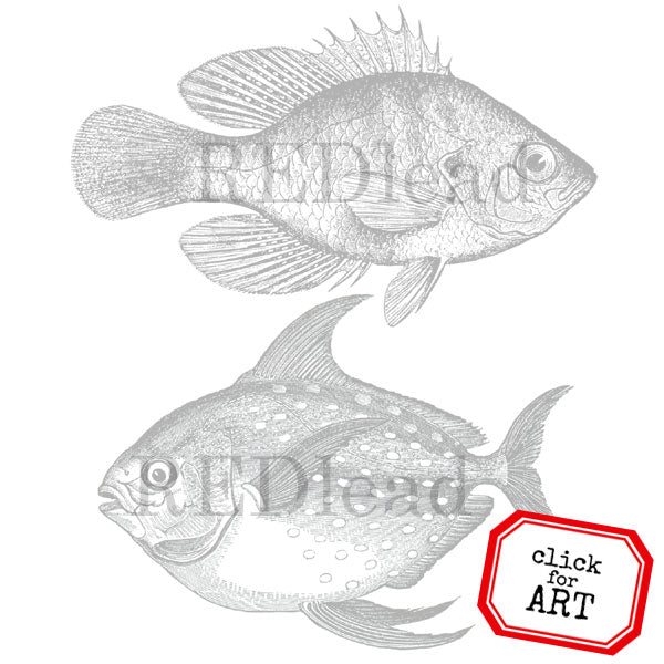 2 Friendly Fishes  Rubber Stamp SAVE 15%