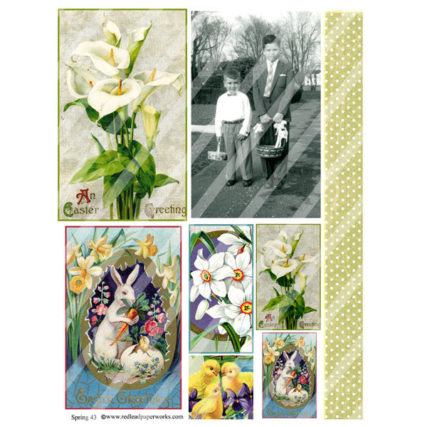 Spring 43 Collage Sheet