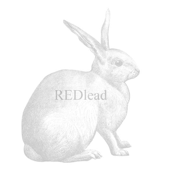 Spring Bunny Rabbit Rubber Stamp