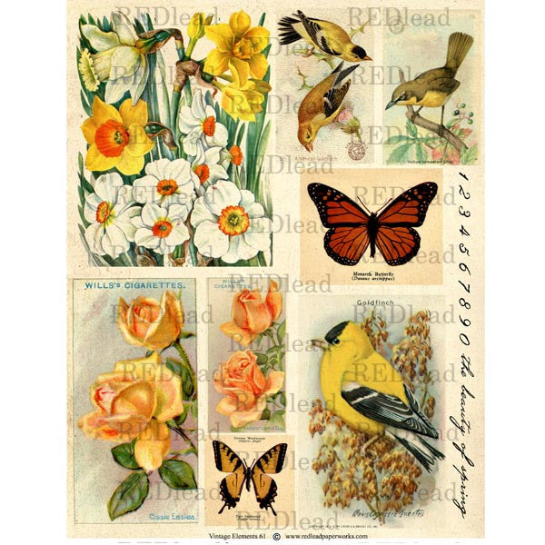 Collage Sheet Vintage Elements 61