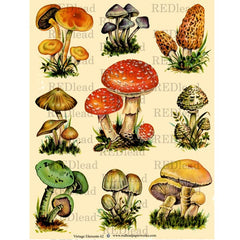 Collage Sheet Autumn Mushrooms Vintage Elements 62