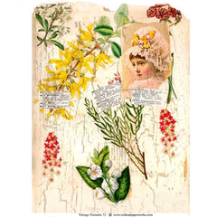 Vintage Elements 72 Collage Sheet