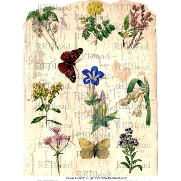 Vintage Elements 74 Flower Collage Sheet