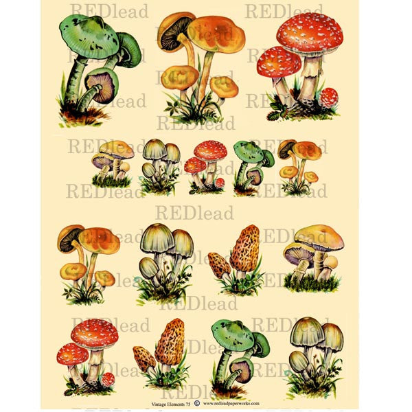 Collage Sheet Vintage Elements 75