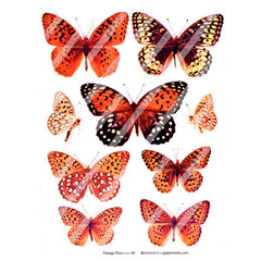butterfly collage sheets