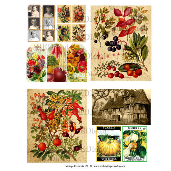 Vintage Elements 156 Autumn Collage Sheet