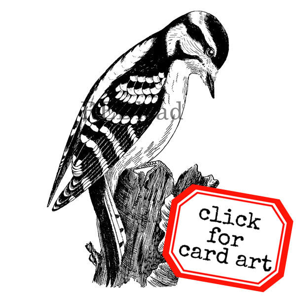 Woodpecker Bird Rubber Stamp